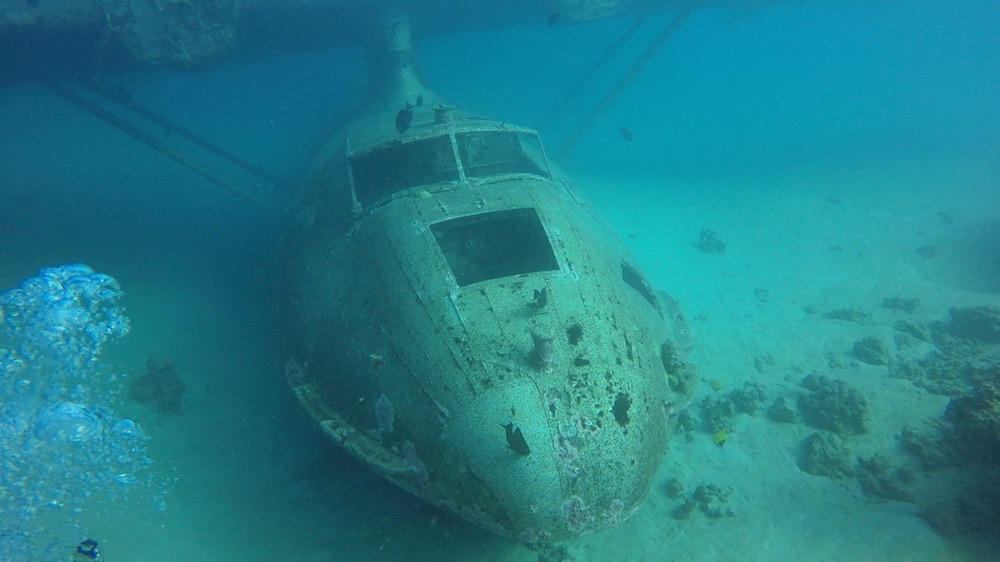 Diving in Tahiti